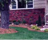 Landscaping & Plantings