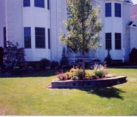 Landscaping & Plantings