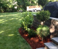 Landscaping & Plantings