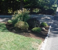 Landscaping & Plantings