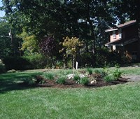 Landscaping & Plantings