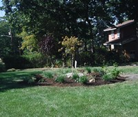 Landscaping & Plantings