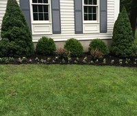 Landscaping & Plantings