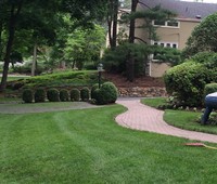 Landscaping & Plantings