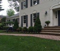 Landscaping & Plantings