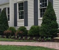 Landscaping & Plantings