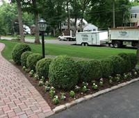 Landscaping & Plantings