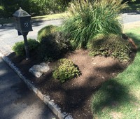 Landscaping & Plantings