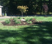 Landscaping & Plantings