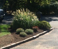 Landscaping & Plantings