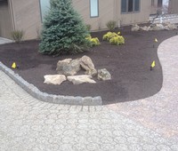 Landscaping & Plantings