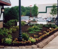 Landscaping & Plantings