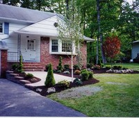 Landscaping & Plantings