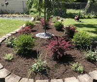 Landscaping & Plantings