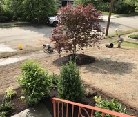 Landscaping & Plantings