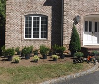 Landscaping & Plantings