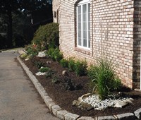 Landscaping & Plantings