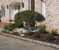 Landscaping & Plantings