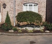 Landscaping & Plantings