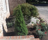 Landscaping & Plantings