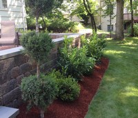 Landscaping & Plantings