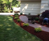 Landscaping & Plantings