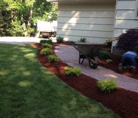 Landscaping & Plantings