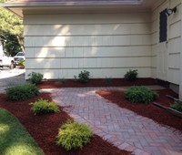 Landscaping & Plantings