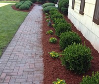 Landscaping & Plantings